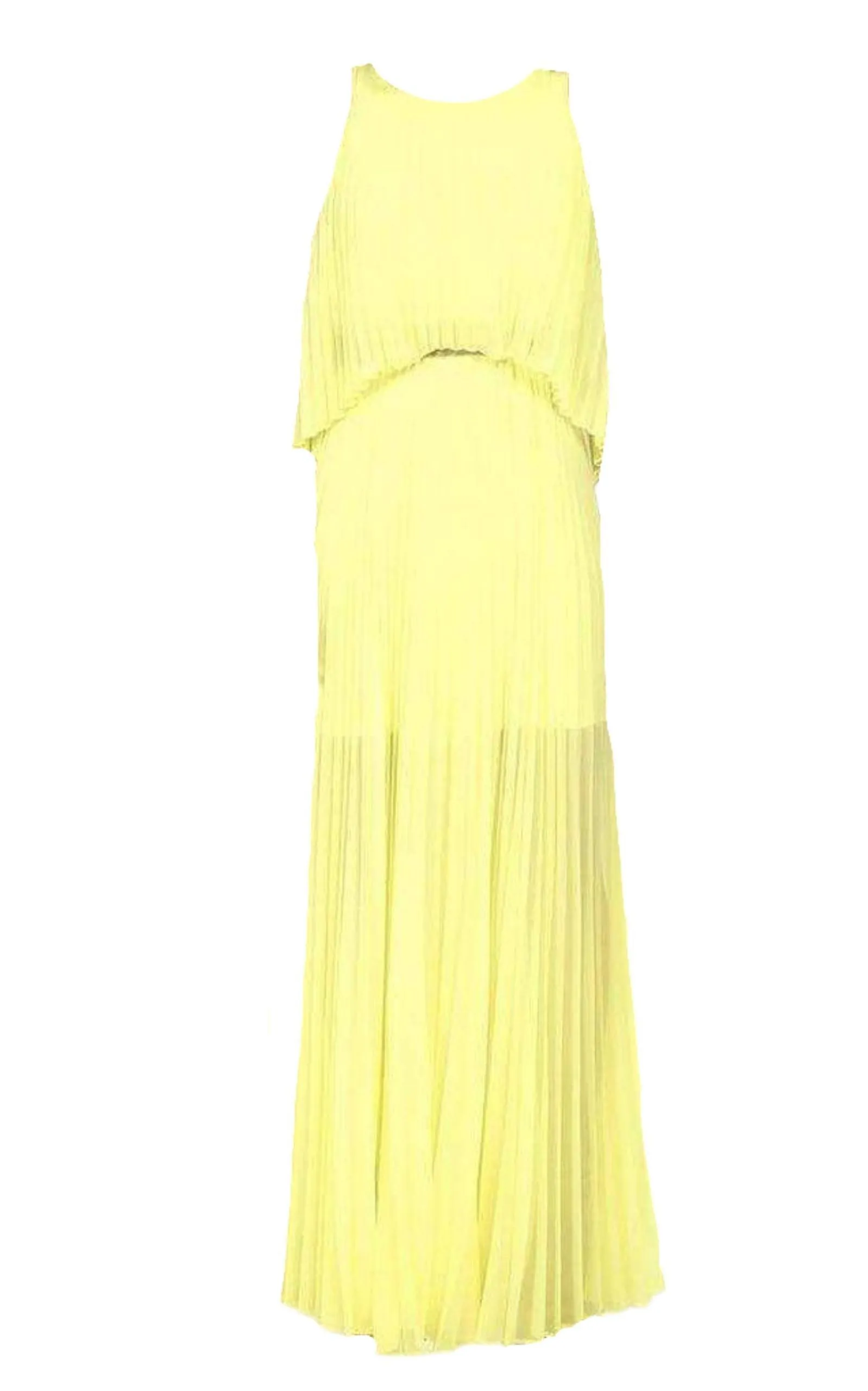 Shaina Citron Sleeveless Pleated Gown